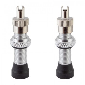 Valves Tubeless Alienation TCS Schrader BMX (Paire) Valves Tubeless Alienation TCS Schrader BMX (Paire)